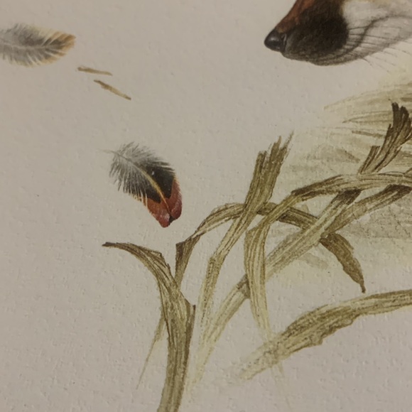 Glen Loates “FOX” 18 x 23 in signed / sealed lithograph - Picture 6 of 13